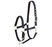 Kerbl GoLeyGo 2.0 Halter for Horses for Click Magnetic Closure incl Adapter Pin, Blue/Caramel, Single Item