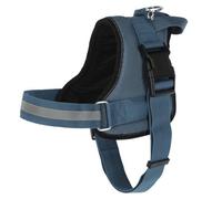 Kerbl Harness Maestro 2.0, Petrol 25mm X 64-90Cm, W Ident. Tube