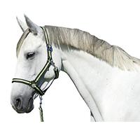 Kerbl Hippo Head Collar - Anthracite/Lemon, Size 00