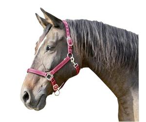 Kerbl Mustang Head Collar - Red/Black, Size 1