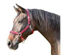 Kerbl Mustang Head Collar - Red/Black, Size 2