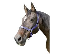 Kerbl Mustang Head Collar - Royal Blue/Black, Size 2