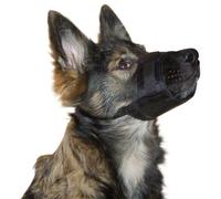 Kerbl Muzzle Nylon 18 24Cm, 8,5Cm 17 - 33 Cm