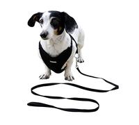 Kerbl Pet Puppy Harness with Lead, Black, 24-44 cm/10 mm