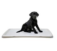 Kerbl Pet Puppy Toilet XL 60 x 90 cm