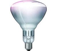 Kerbl Philips 22315 Tempered Glass Lamp 150 W / 240 V Clear
