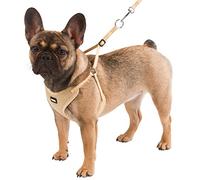 Kerbl Puppy Harness with Rope, 24-44 cm/10 mm, Beige