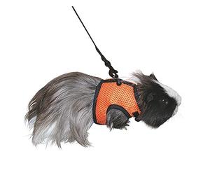 Kerbl Rodent Harness Sport includes Flexible Lead, 120 cm/ 14 - 18 cm Neck Circumference