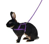 Kerbl Shoulder Harness Agility With Leash 2M, Lila, Size L