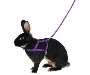 Kerbl Shoulder Harness Agility With Leash 2M, Lila, Size L