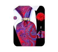 Kerfado 5PCS Tie and Pocket Square for Men, Silk Necktie and Handkerchief Cufflinks with Gold Ring and Lapel Pin Set, Red Blue Paisley Tie Set -59, 3.35" in width and 59" in length