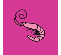 Kero Kero Bonito - Flamingo (Pink Vinyl) [VINYL]