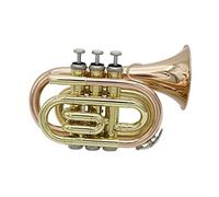 KERREY B-flat Palm Trumpet Instrument Portable Pocket Phosphor-bronze Trumpet Three-tone Trumpet For Beginners Standard Pocket Trumpet (Color : 01)