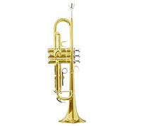 KERREY B-flat Standard Trumpet Young Pioneers Students Trumpet Brass Instrument Western Pipe Beginner Professional Performance Standard Trumpet