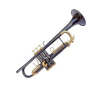 KERREY Trumpet Instrument Professional Bb Trumpet Black Nickel Gold Plated Brass Wind Instrument Bb Trumpet Pop Music Instrument