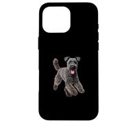 Kerry Blue Case for iPhone 16 Pro Max