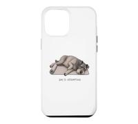 Kerry Blue Terrier Yoga Dog Day 3 Attempting Case for iPhone 12 Pro Max