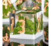 KERWELLSI Mountain Forest Resin DND Dice Set D&D with Gift Box, 7Pcs Natural Sharp Edge Dungeons and Dragons Polyhedral & RPG Dice, D and D Dice Role Playing Game D20 D12 D10 D8 D6 D4 Dice