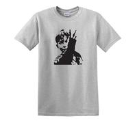 KES Iconic Film Image Ken Loach Billy Casper Falcon Retro Heavy Cotton t-Shirt Sport Grey