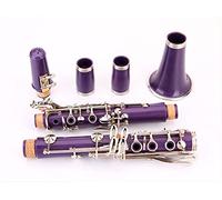 KESHUO Purple Clarinet Performance Grade Musical Instrument Clarinet 17-Key B-flat Clarinet Student Standard Clarinet Set