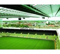 KESIMO 1000 Pieces Of Paper Puzzle, St. James Park NewCastle, Puzzles For Adults 1000 Piece, Jigsaw Puzzles For Child, Adults Home Decor 38 * 26cm