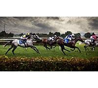 KESIMO Puzzle 1000 Piece Puzzles For Adults Sports/Horse Racing Papery Puzzle Leisure Toy Educational Intellectual Decompressing Game Home Decoration Art Gift 70x50cm