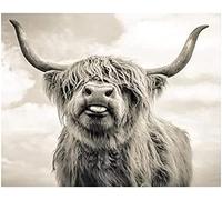 KESIMO Puzzles For Adults 1000 Piece，Highland Cow Jigsaw Puzzles Kids Educational Intellectual Decompressing Fun Family Game 70 * 50cm