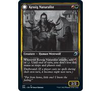 Kessig Naturalist // Lord of the Ulvenwald | Innistrad: Double Feature
