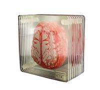 kesurpae 10PCS Coasters Acrylic Organ Brain Specimen Handwash Table Coaster Smooth Square Cup Mat Living Decoration Gift Mugs