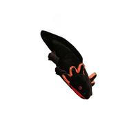 kesurpae Cute Axolotl Stuffed Pillow Adorable Decorative Accent Living Room Or Bedroom Relaxation Or Sleep with When are Bored. Stuffed Axolotl Pillow is
