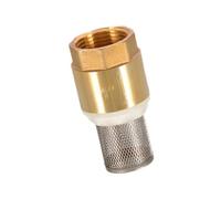 kesurpae Effective Backflow Prevention Brass Check Valve for Water Systems Maintains Efficiency DN15 DN20 Internal Thread Check Valve Maintains Pump Primed Water Well Pump, Golden, DN25 with Mesh