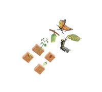 kesurpae Farm Plant Butterfly Life Cycle Model Figures Enhancing Knowledge Of Nature Cycles For Kids Storytelling Props Miniature Plant Lifecycle Collection For Boy Girl