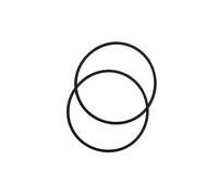 kesurpae Pool Chlorinator Lid O-Ring Durable Elastic Rubber For Maximum Performance And Reliability Enduring Durability And Longevity Wear Resistant Swimming Pool Chlorinator