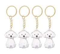 KESYOO 4pcs Dog Hair Keepsake Keychain, Capsule with Dustproof Seal Technology, Lightweight Abs Pet Hair Memorial Souvenir for Dog Owners, Portable Emotional Remembrance Ornament