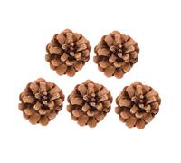 KESYOO 5 Pcs Bird Cage Hanging Toys, Natural Pineapples for Parrots and Budgies, Practical Toy for Chewing and Stimulating, Safe and Fun Accessory for Birds