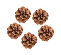 KESYOO 5Pcs Natural Pine Cone Bird Hanging Cage Accessories Parrot Chewing Plaything for Parakeets and Caged Birds