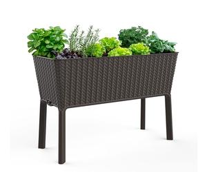 Keter Easy 31.7 Gallon Raised Garden Bed with Self Watering Planter Box and Drainage Plug-Perfect for Growing Fresh Vegetables, Flowers and Herbs, Graphite