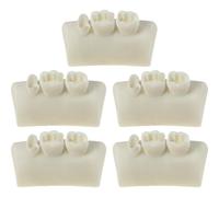 Keuyeo Dental Inlay Exercise Model 5pcs Typodont Resin Filling Exercise Model Teeth Training Model for Dentistry Teaching Study