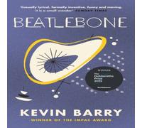 Kevin Barry Beatlebone Paperback Book Kevin Barry Multicolor