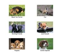 Kevin Milner Countryside Cards - Black and Tan Terrier