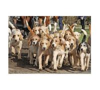 Kevin Milner Ode to the Gelligaer Countryside Greetings Card Kevin Milner Multicolor