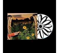 Kevin Morby - Little Wide Open