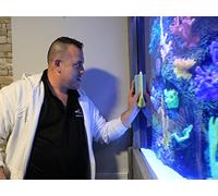 Kevin Smith's Tortally Awesome Tank