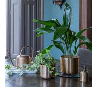 Kew Matt Brass Plant Mister 14Cm Royal Botanic Gardens Kew Gold One Size