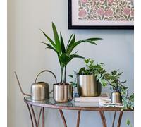 Kew Matt Brass Watering Can 19Cm Royal Botanic Gardens Kew Gold One Size