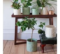 Kew Stoneware Meadow Planter Ivory 21cm Royal Botanic Gardens Kew Ivory One Size