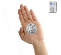 KEWEIYASW 2024 American Silver Peace Dollar Coin MS-70 (First Day of Issue) with Original Government Packaging $1 MS70 PCGS coin holders for all coins