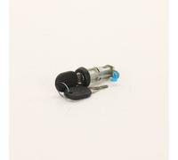 Key Cylinder with Key (1x)