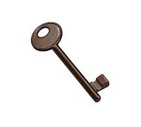 Key for AGB Patent Lock Colour Bronze Number no. 11. Opens All AGB Patent Locks N.11