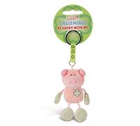 Key holder Talisminis pig 7cm pink-green - Cuddly animal pendant with key ring for lanyard, key ring & key holder Lucky bag charm with message